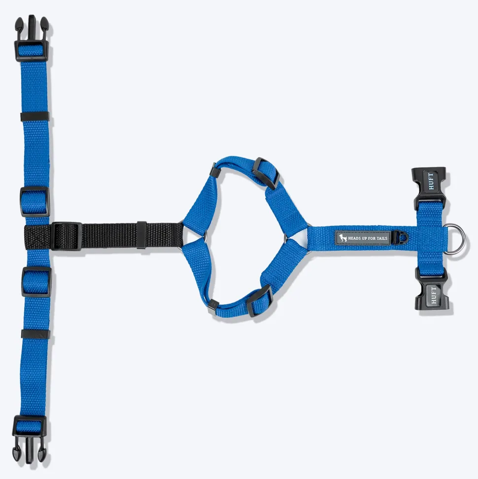 HUFT Basics Dog H-Harness - Cobalt Blue
