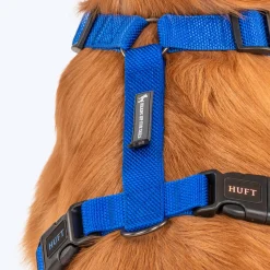 HUFT Basics Dog H-Harness - Cobalt Blue