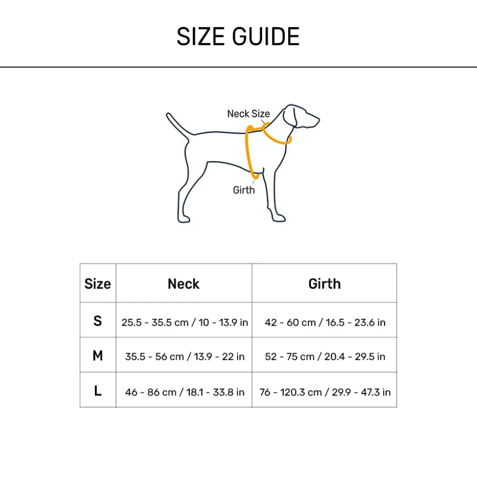 HUFT Basics Dog H-Harness - Cobalt Blue