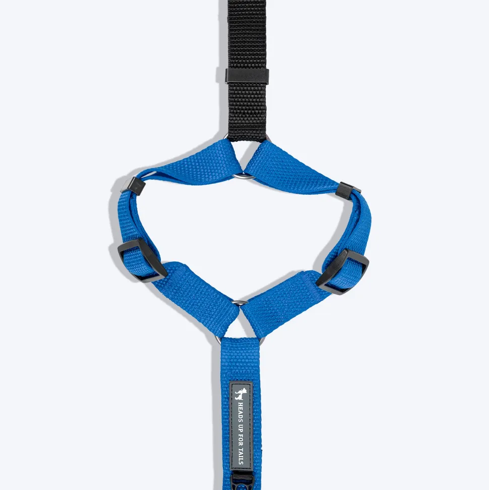 HUFT Basics Dog H-Harness - Cobalt Blue