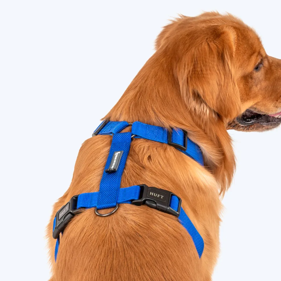 HUFT Basics Dog H-Harness - Cobalt Blue