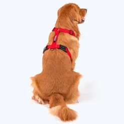 HUFT Basics Dog H-Harness - Crimson Red