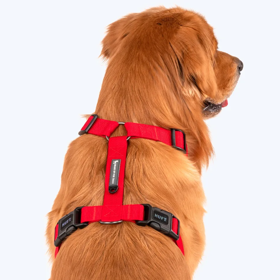 HUFT Basics Dog H-Harness - Crimson Red