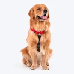 HUFT Basics Dog H-Harness - Crimson Red