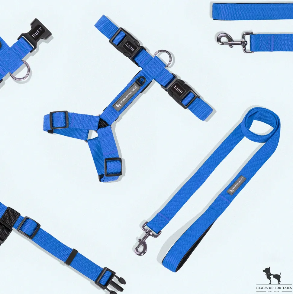 HUFT Basics Dog H-Harness & Leash Set - Cobalt Blue