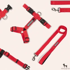 HUFT Basics Dog H-Harness & Leash Set - Crimson Red