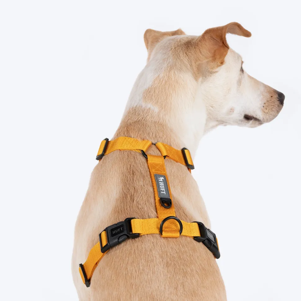 HUFT Basics Dog H Harness - Yellow & Blue