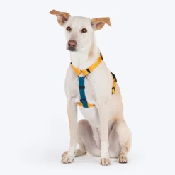 HUFT Basics Dog H Harness - Yellow & Blue