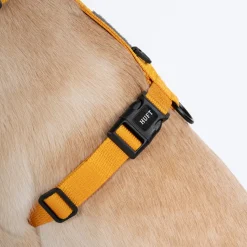 HUFT Basics Dog H Harness - Yellow & Blue