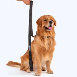 HUFT Basics Dog Leash - Classic Black