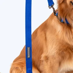 HUFT Basics Dog Leash - Cobalt Blue