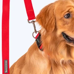 HUFT Basics Dog Leash - Crimson Red