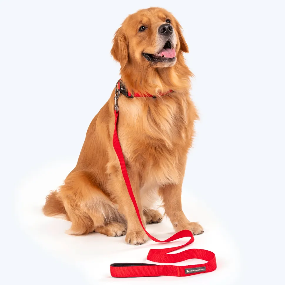 HUFT Basics Dog Leash - Crimson Red
