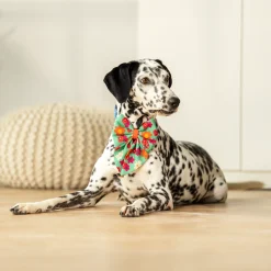 HUFT Beach Bloom Lady Bow Tie For Dog - Green