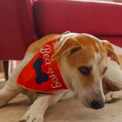HUFT Bed Hog Dog Bandana