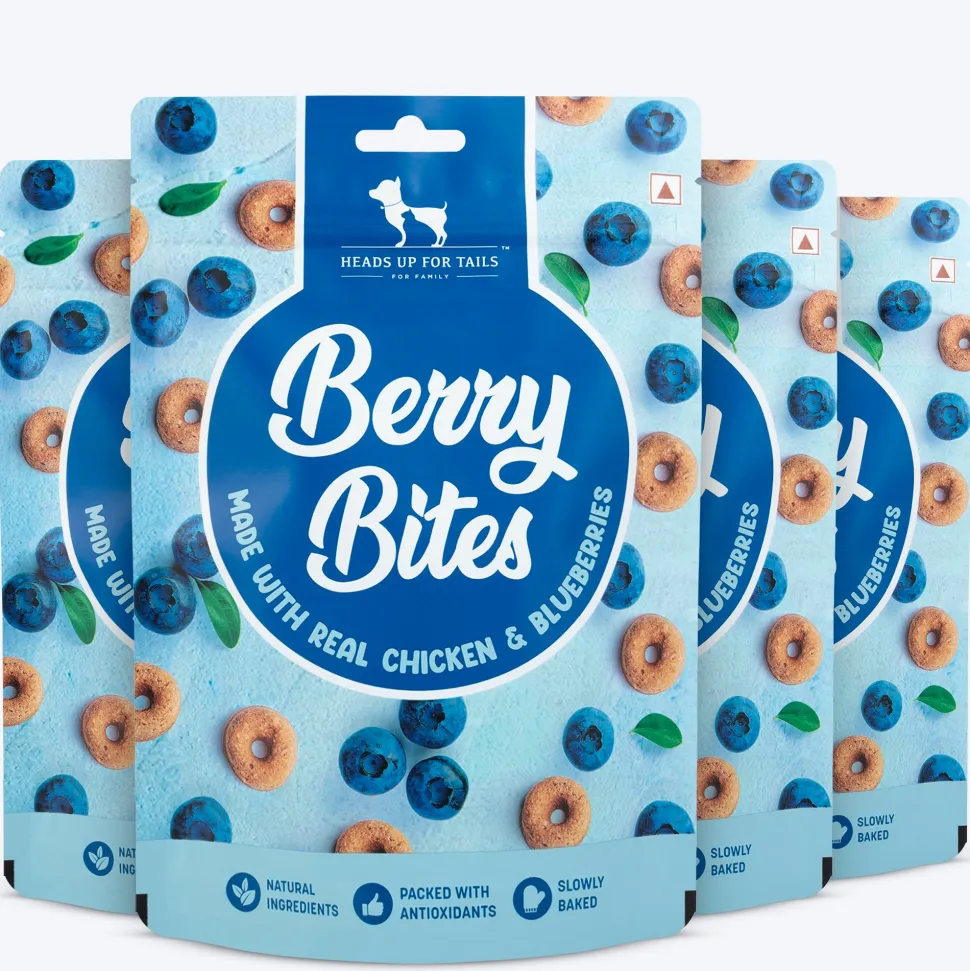 HUFT Berry Bites - Chicken & Blueberry Treats For Dogs - 140 g