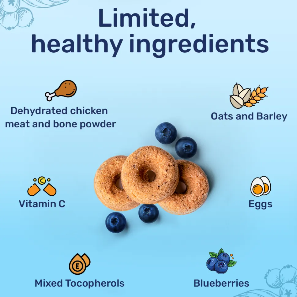 HUFT Berry Bites - Chicken & Blueberry Treats For Dogs - 140 g