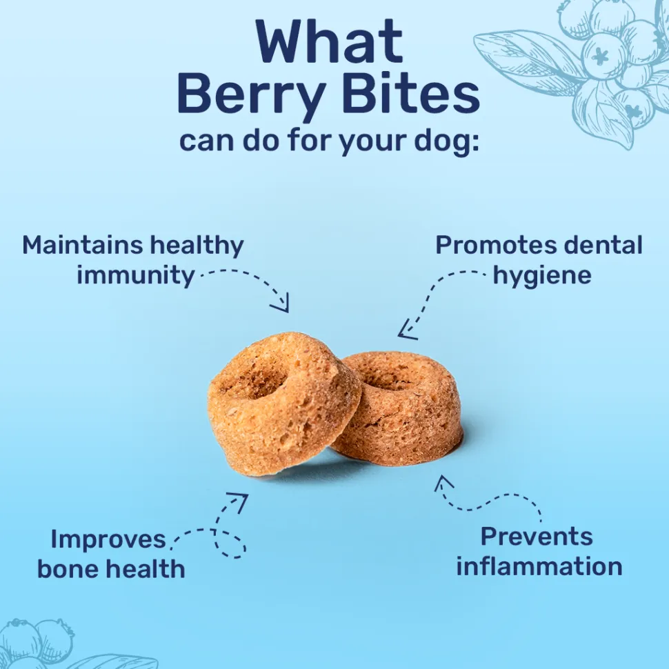 HUFT Berry Bites - Chicken & Blueberry Treats For Dogs - 140 g