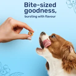 HUFT Berry Bites - Chicken & Blueberry Treats For Dogs - 140 g