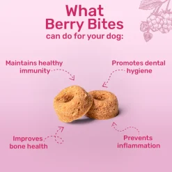 HUFT Berry Bites - Chicken & Raspberries Treats For Dogs - 140 g