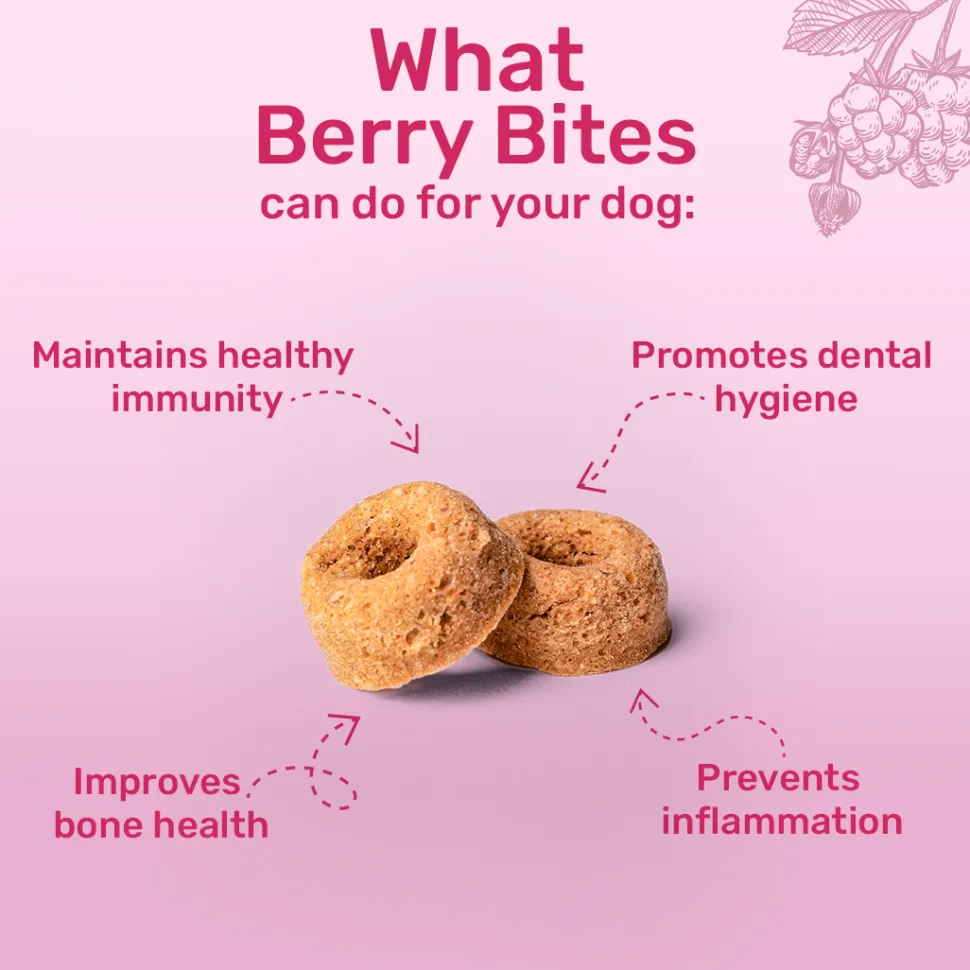 HUFT Berry Bites - Chicken & Raspberries Treats For Dogs - 140 g