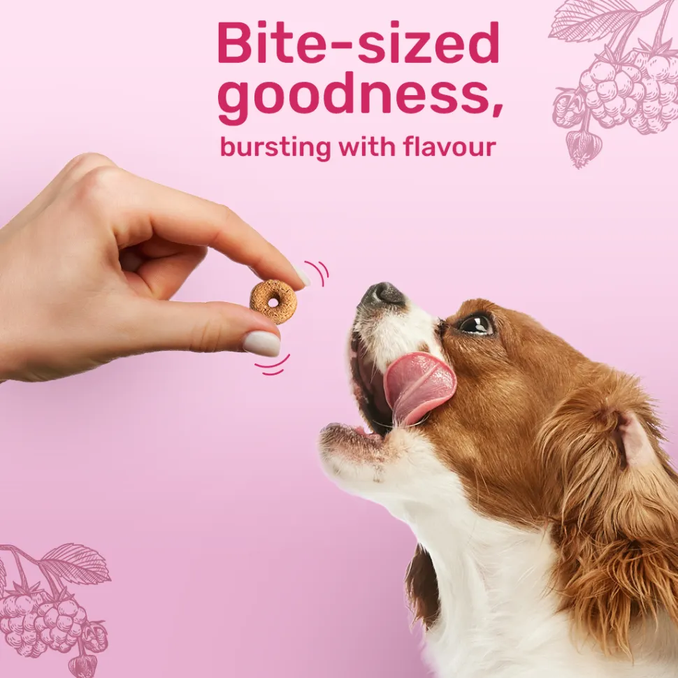HUFT Berry Bites - Chicken & Raspberries Treats For Dogs - 140 g