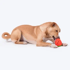 HUFT Berry Chew Toy For Dog - Red & Green