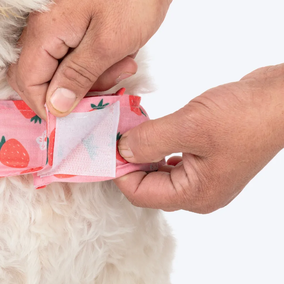 HUFT Berrylicious Printed Dress For Dog - Baby Pink