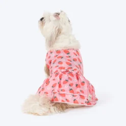 HUFT Berrylicious Printed Dress For Dog - Baby Pink