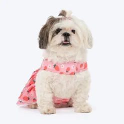 HUFT Berrylicious Printed Dress For Dog - Baby Pink