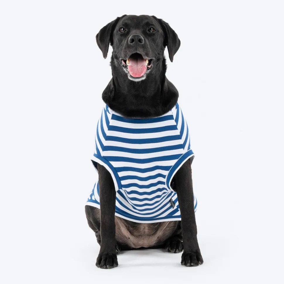 HUFT Best Dog Striped T-Shirt For Dog - Navy Blue & White