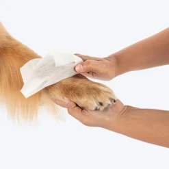 HUFT Biodegradable Pet Wipes