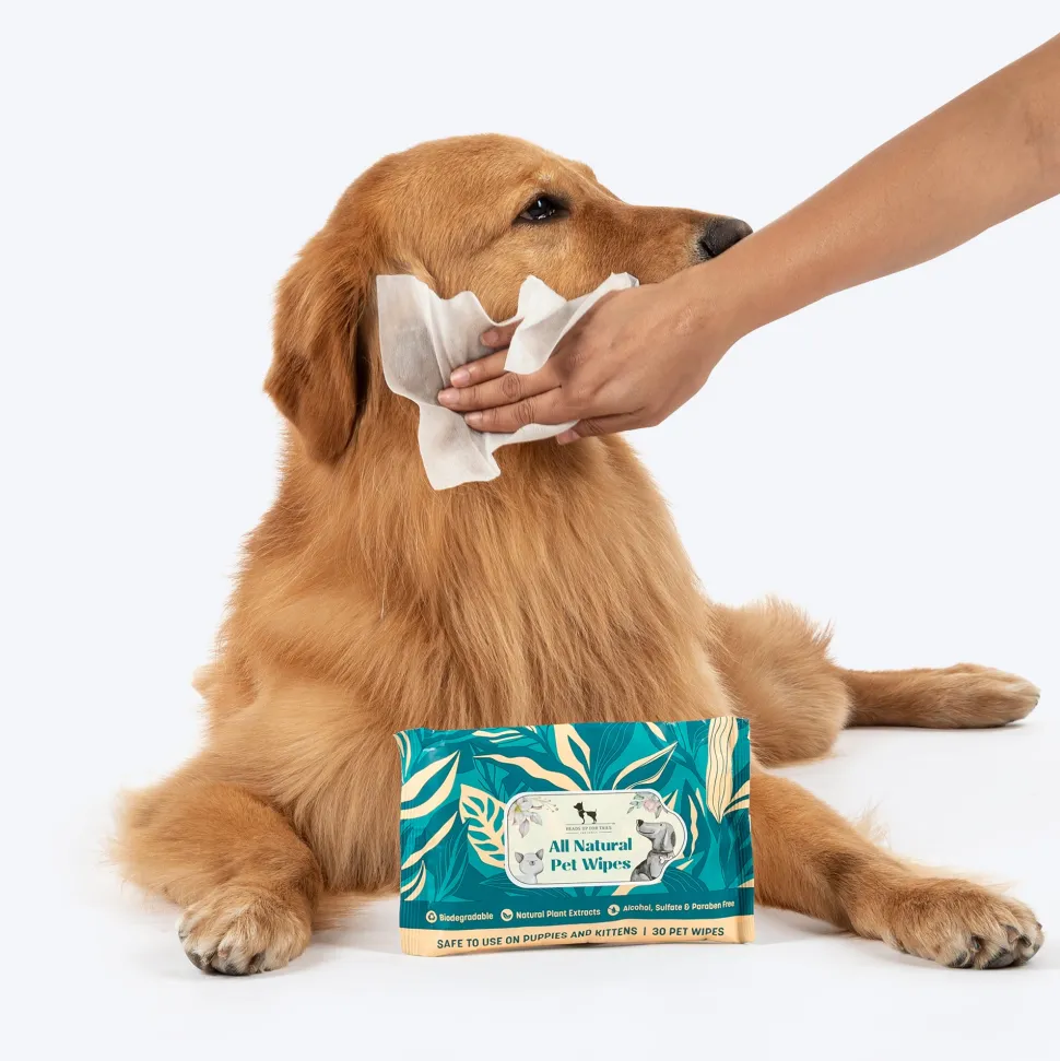 HUFT Biodegradable Pet Wipes