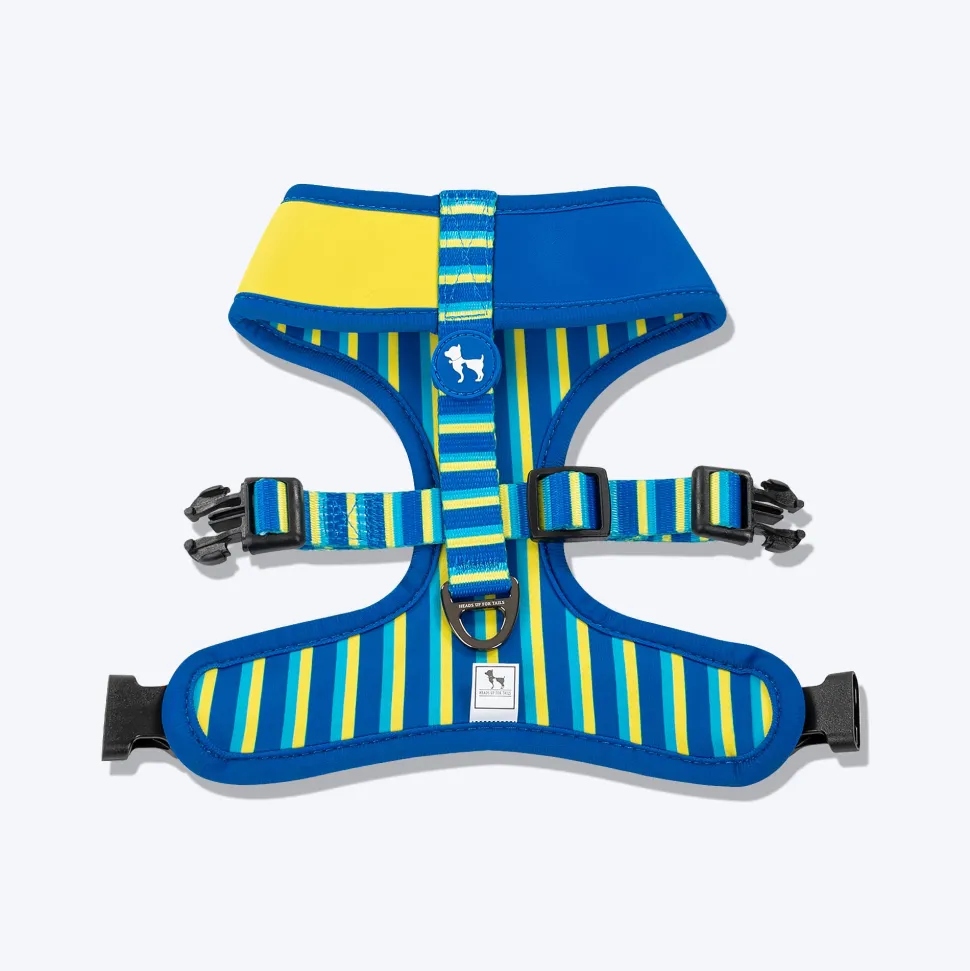 HUFT Blazing Blue Dog Reversible Harness