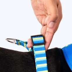 HUFT Blazing Blue Dog Reversible Harness