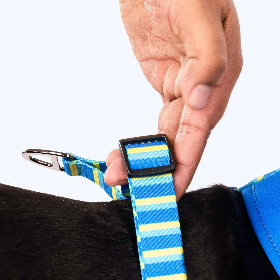 HUFT Blazing Blue Dog Reversible Harness