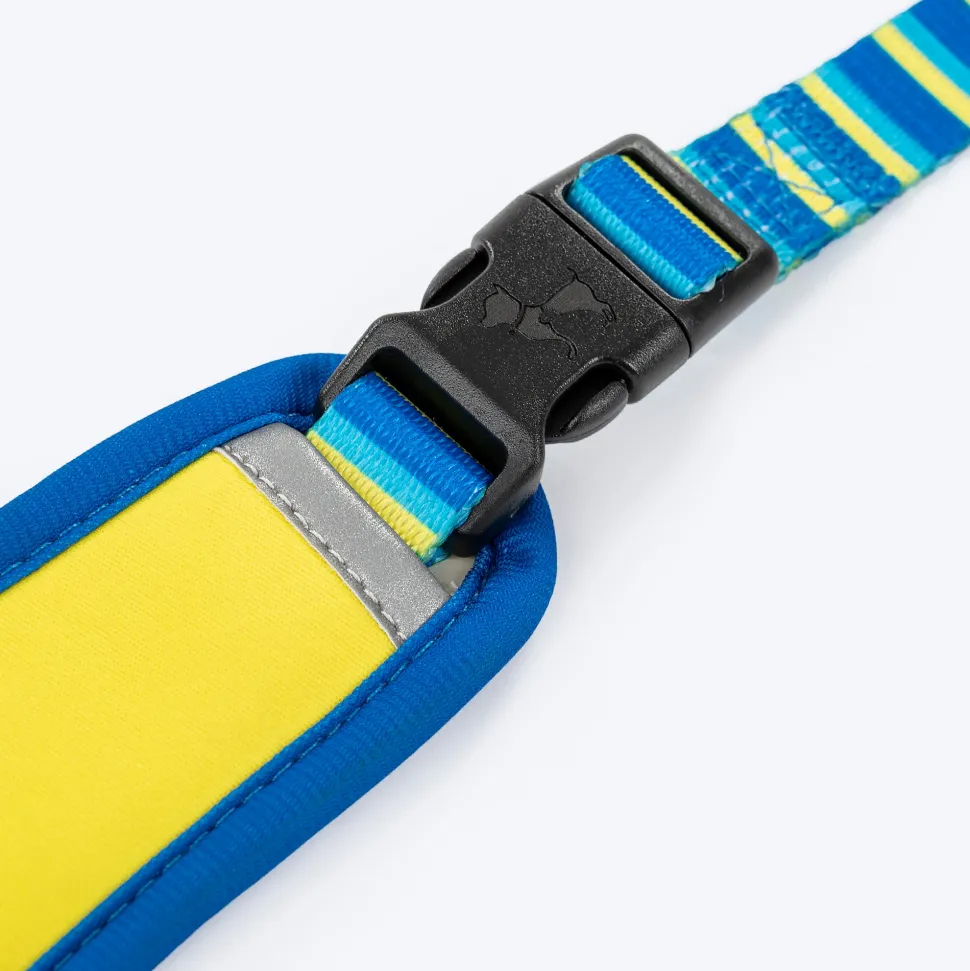 HUFT Blazing Blue Dog Reversible Harness