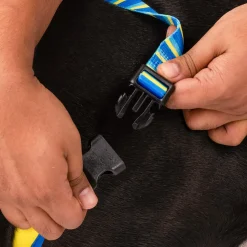 HUFT Blazing Blue Dog Reversible Harness