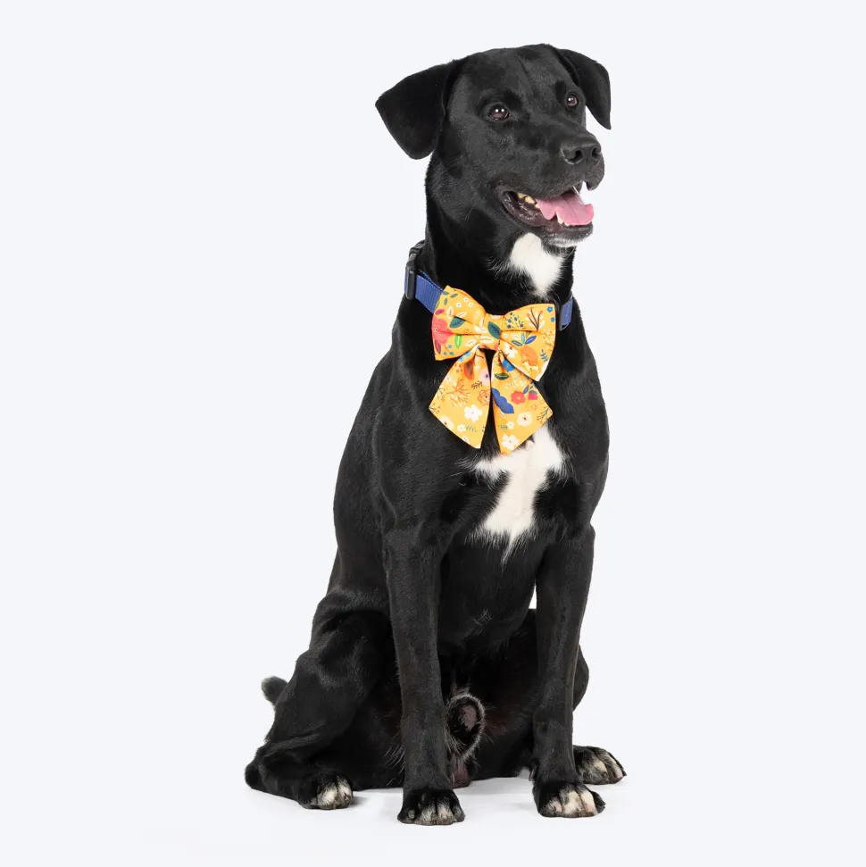 HUFT Blooming Days Printed Lady Bow Tie for Dog - Yellow