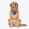 HUFT Bloomscape Printed Lady Bow Tie for Dog - Navy