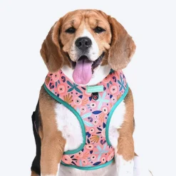 HUFT Bloom Wildly Reversible Harness For Dogs - Pink