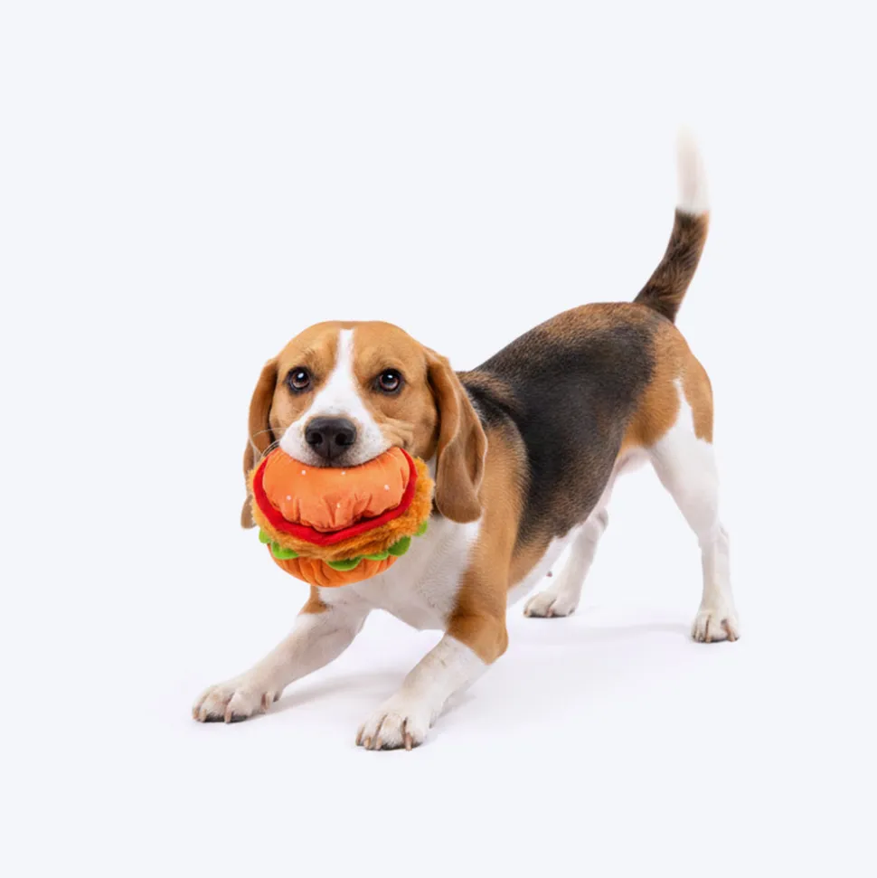HUFT Bork-ger Plush Toy For Dog - Multicolor
