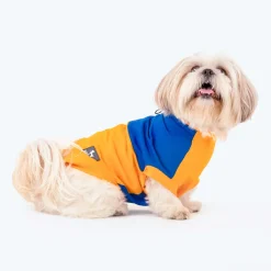 HUFT Breezy Boo Vest For Dogs - Yellow & Blue