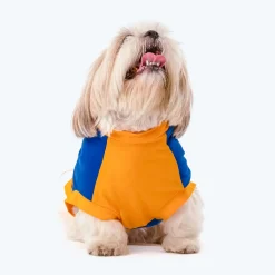 HUFT Breezy Boo Vest For Dogs - Yellow & Blue