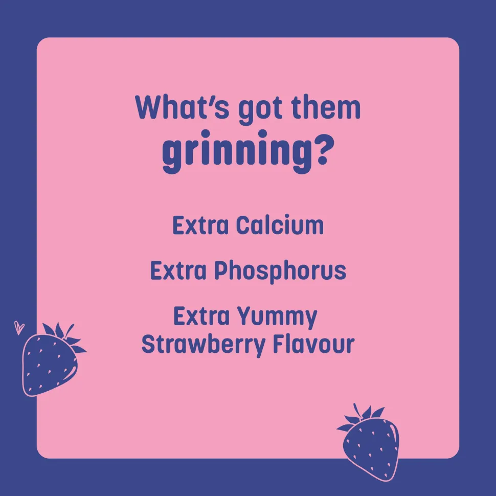 HUFT Calcium Chews Bite-Sized Bone Treats For Dog - Strawberry Flavour - 200 gm