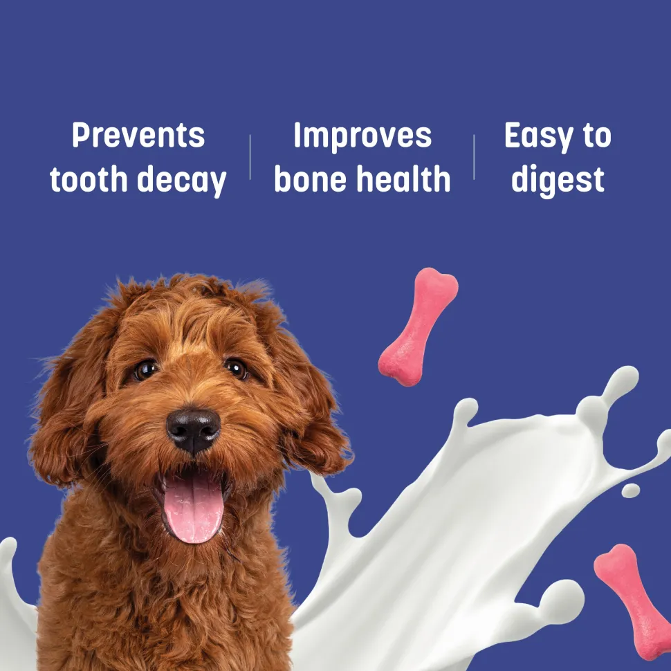 HUFT Calcium Chews Bite-Sized Bone Treats For Dog - Strawberry Flavour - 200 gm
