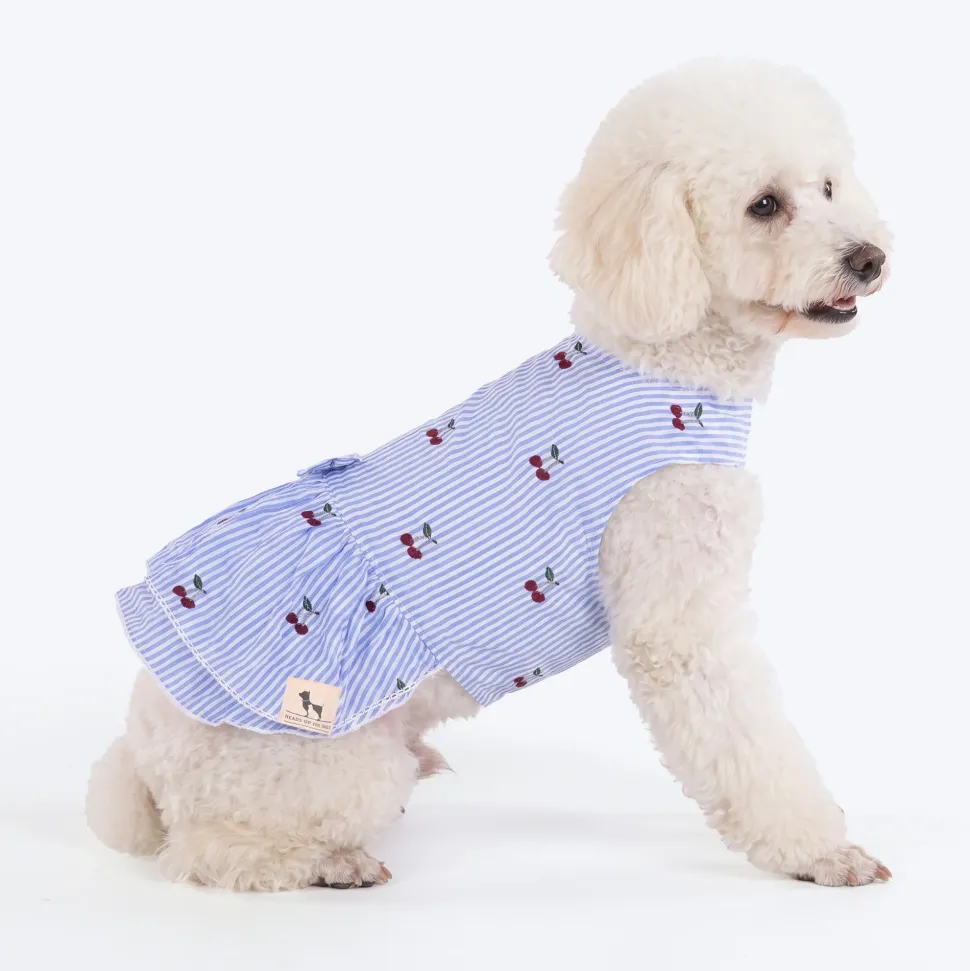 HUFT Cherie Cherry Stripe Dress For Dog - Blue & White