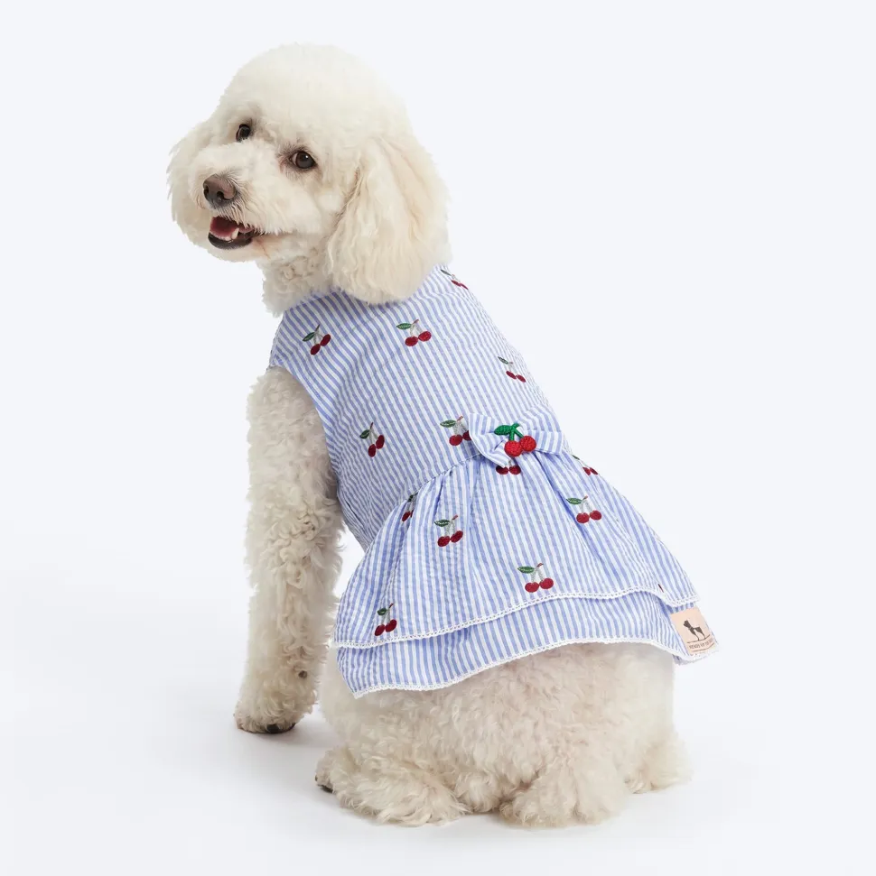 HUFT Cherie Cherry Stripe Dress For Dog - Blue & White