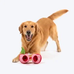 HUFT Cherrylicious Plush Toy With Ball For Dog - Red