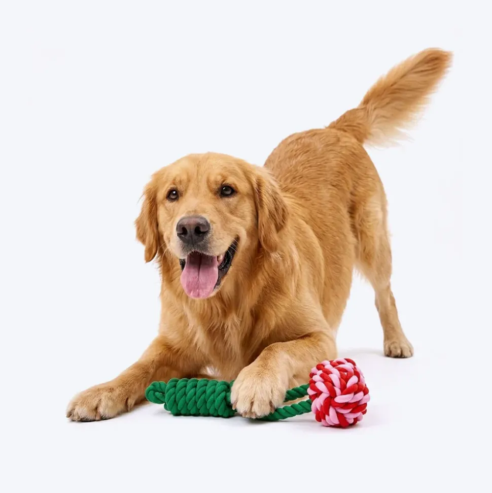 HUFT Cherrylicious Rope Toy For Dog - Multicolor